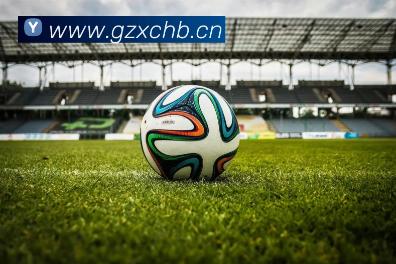 beat365官方网站入口发展历程